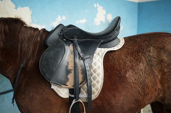 Comment choisir la selle idéale pour pratique l'équitation ?
